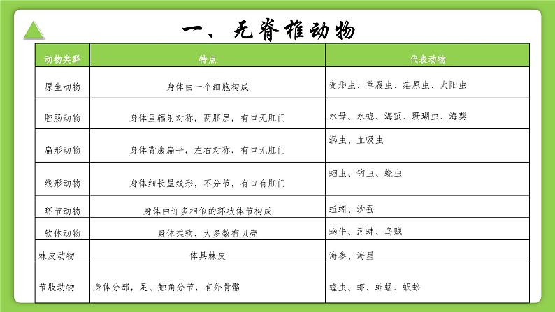 【核心素养】浙教版(2024)科学七年级上册 第2章 第3节 多姿多彩的动物(同步课件)04