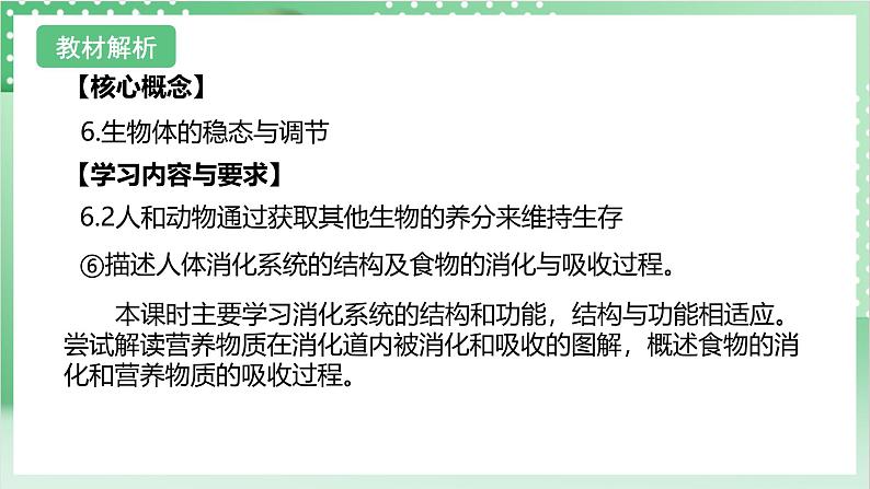 【新课标】浙教版科学九上第2节 《食物的消化与吸收》(第1课时)课件+练习02