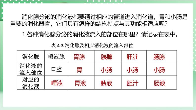 【新课标】浙教版科学九上第2节 《食物的消化与吸收》(第1课时)课件+练习08
