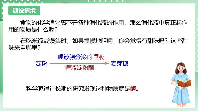 【新课标】浙教版科学九上第2节《 食物的消化与吸收》(第2课时)课件+练习03