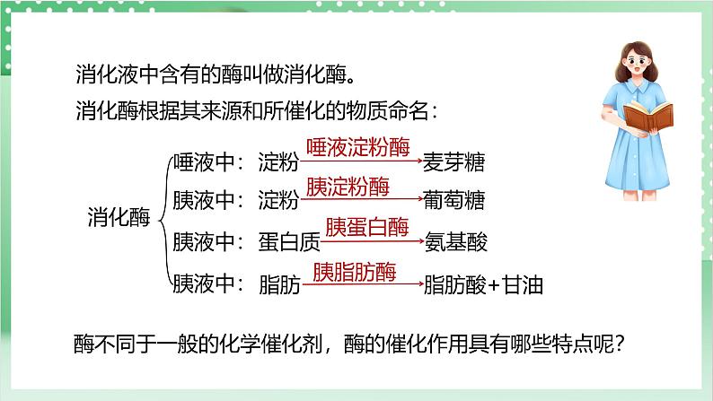 【新课标】浙教版科学九上第2节《 食物的消化与吸收》(第2课时)课件+练习05