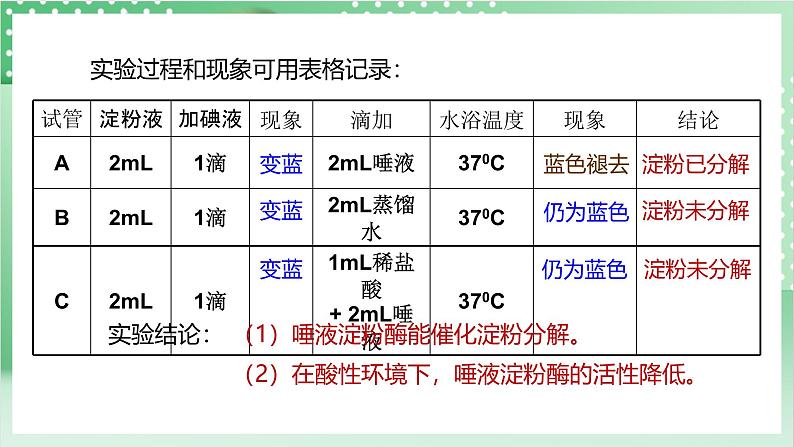 【新课标】浙教版科学九上第2节《 食物的消化与吸收》(第2课时)课件+练习07