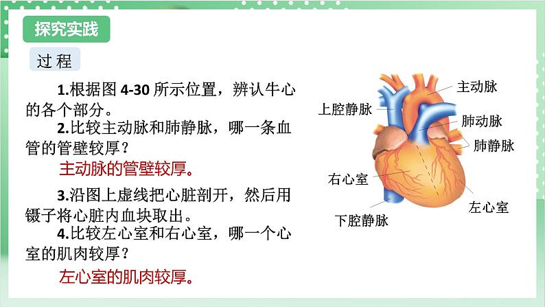 【新课标】浙教版科学九上第3节 《体内物质的运输》(第2课时)课件+练习04