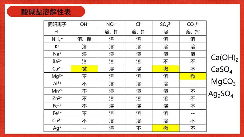 华师大版科学九上3.专题1:《可溶性盐和不溶性盐》课件06
