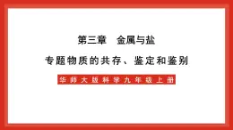 华师大版科学九上3.专题2：《物质的共存、鉴定和鉴别》课件