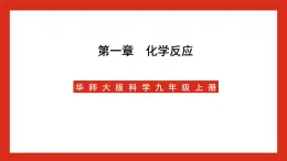 华师大版科学九上《化学回顾》课件+素材