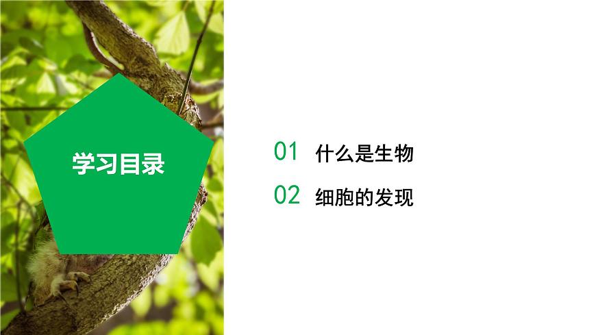 2.1 生物體的基本單位（第1課時）（教學課件） 七年級科學上冊同步（浙教版）第2頁