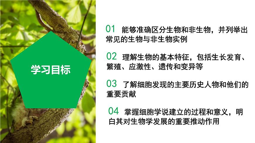 2.1 生物體的基本單位（第1課時）（教學課件） 七年級科學上冊同步（浙教版）第3頁