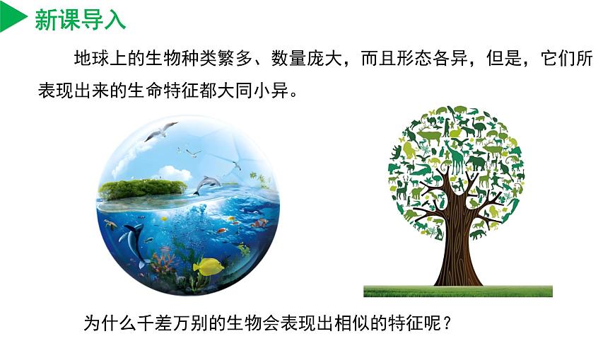 2.1 生物體的基本單位（第1課時）（教學課件） 七年級科學上冊同步（浙教版）第4頁