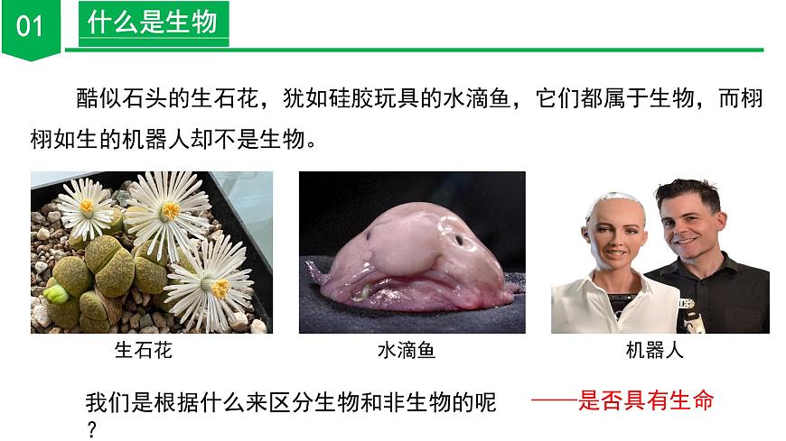 2.1 生物體的基本單位（第1課時）（教學課件） 七年級科學上冊同步（浙教版）第6頁