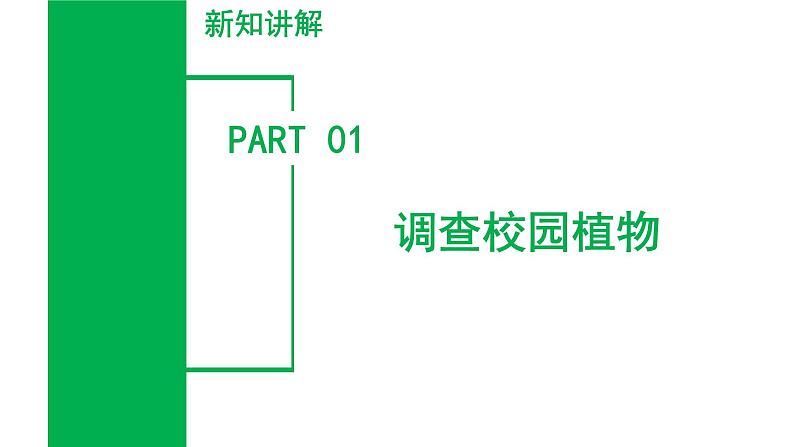 ( 浙教版2024)七年级科学上册2.2 形形色色的植物(第1课时) 课件+教案+导学案+同步作业05