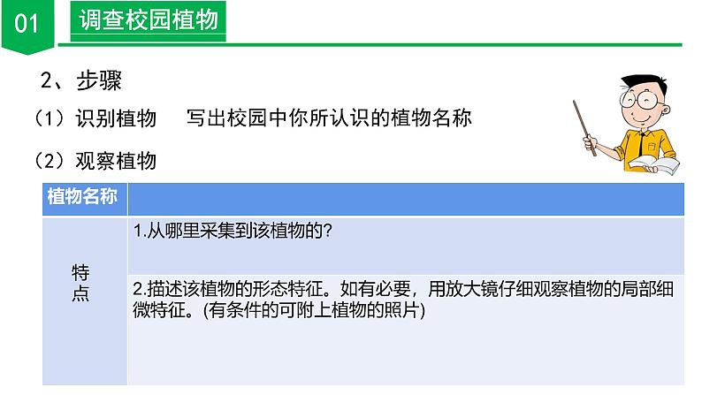 ( 浙教版2024)七年级科学上册2.2 形形色色的植物(第1课时) 课件+教案+导学案+同步作业08