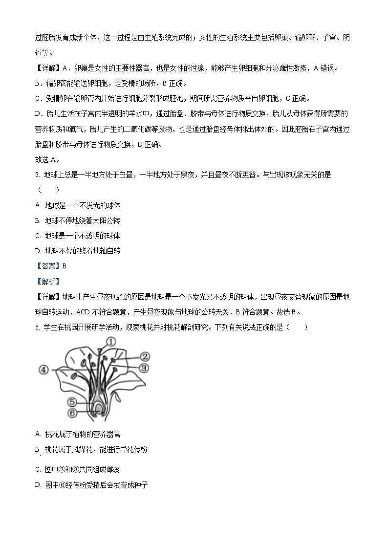 浙江省嘉兴市2023--2024学年下学期七年级科学期末试题 (原卷版+解析版)03