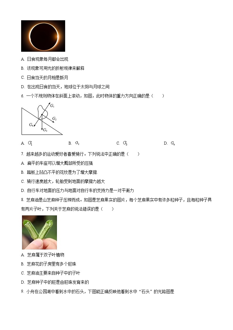浙江省舟山市定海区2023-2024学年七年级下学期期末科学试题(原卷版+解析版)02