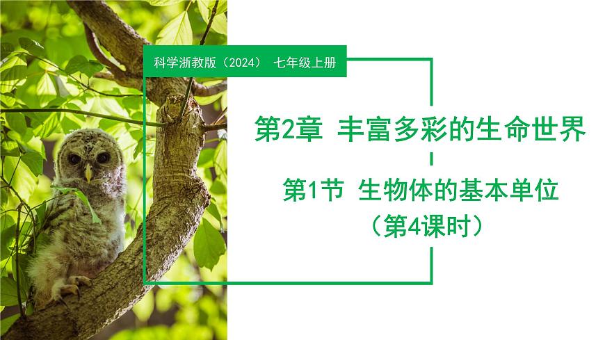 【核心素養(yǎng)】浙教版科學(xué)七年級(jí)上冊(cè) 2.1 生物體的基本單位（第4課時(shí)）（教學(xué)課件）第1頁(yè)