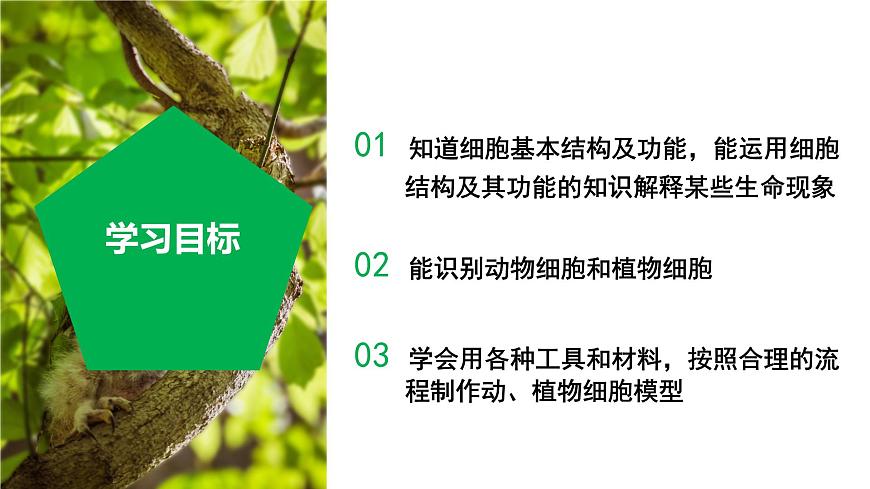 【核心素養(yǎng)】浙教版科學(xué)七年級(jí)上冊(cè) 2.1 生物體的基本單位（第4課時(shí)）（教學(xué)課件）第3頁(yè)