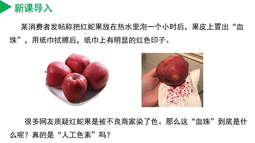 【核心素養(yǎng)】浙教版科學(xué)七年級(jí)上冊(cè) 2.1 生物體的基本單位（第4課時(shí)）（教學(xué)課件）第4頁(yè)