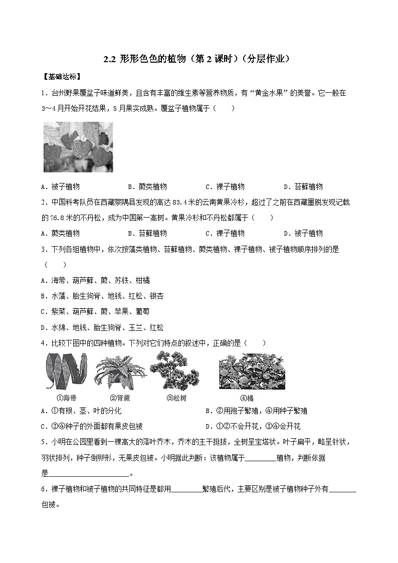 【核心素养】浙教版科学七年级上册 2.2 形形色色的植物(第2课时)(教学课件+同步教案+同步练习)01
