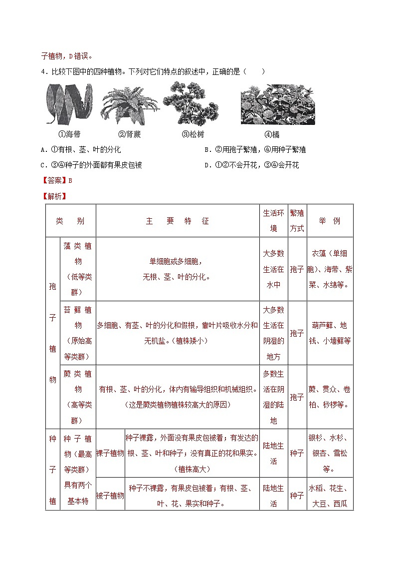 【核心素养】浙教版科学七年级上册 2.2 形形色色的植物(第2课时)(教学课件+同步教案+同步练习)02