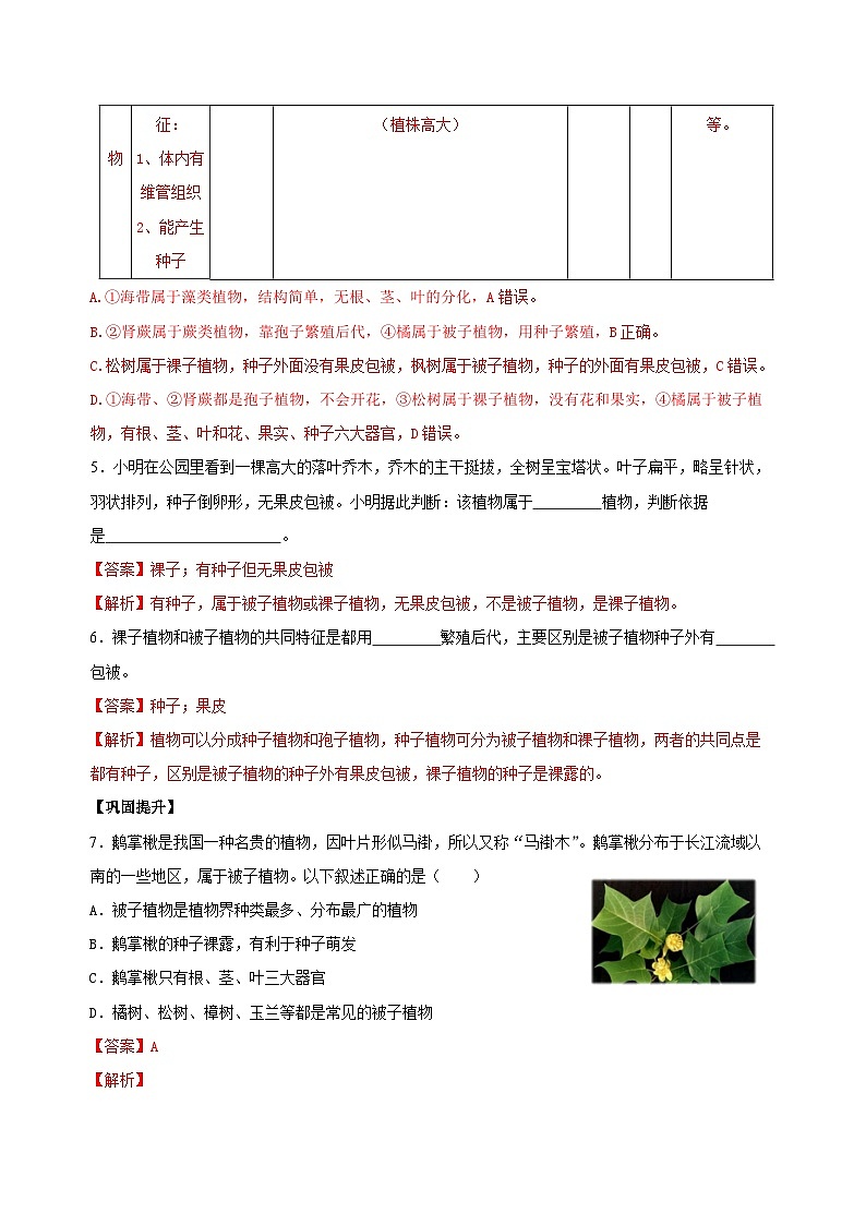 【核心素养】浙教版科学七年级上册 2.2 形形色色的植物(第2课时)(教学课件+同步教案+同步练习)03