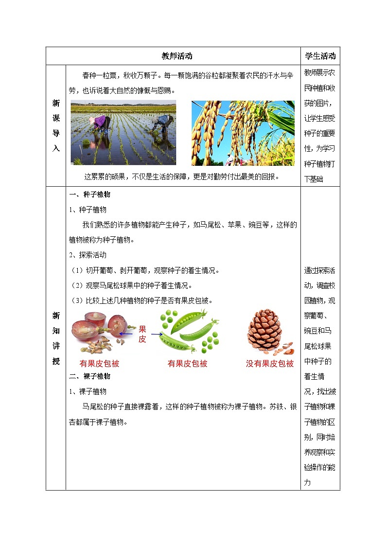 【核心素养】浙教版科学七年级上册 2.2 形形色色的植物(第2课时)(教学课件+同步教案+同步练习)02