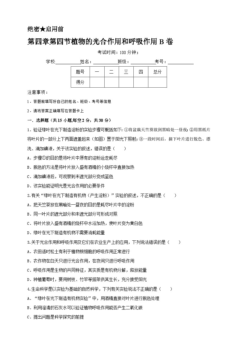 2024秋华师大版 初中科学 八年级上册4.4 植物的光合作用和呼吸作用B卷(含解析版)01