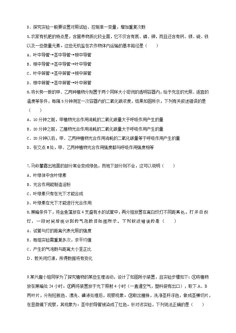2024秋华师大版 初中科学 八年级上册4.4 植物的光合作用和呼吸作用B卷(含解析版)02