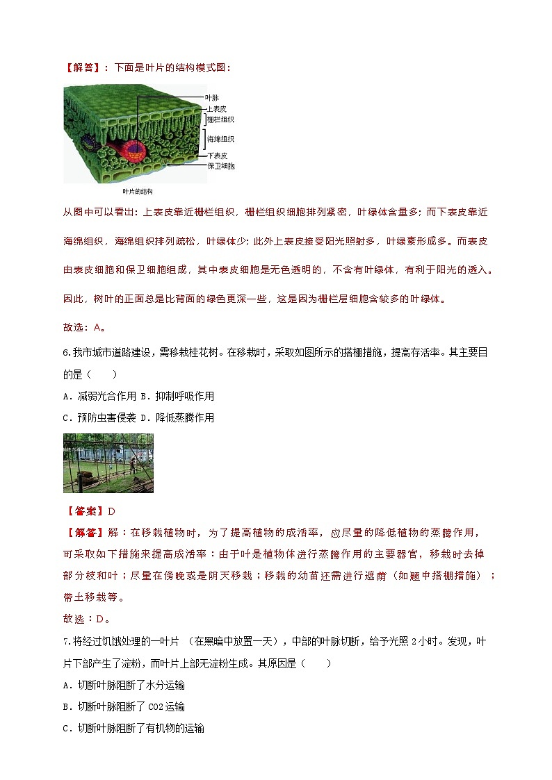 2024秋华师大版 初中科学 八年级上册第4单元综合卷B卷(含解析版)03