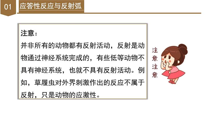 【核心素养】浙教版科学八年级上册 3.3 神经调节(第3课时)(教学课件)第7页