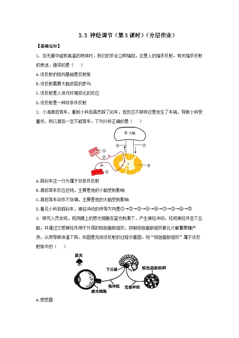 【核心素养】浙教版科学八年级上册 3.3 神经调节(第3课时)(分层作业)【原卷版】第1页