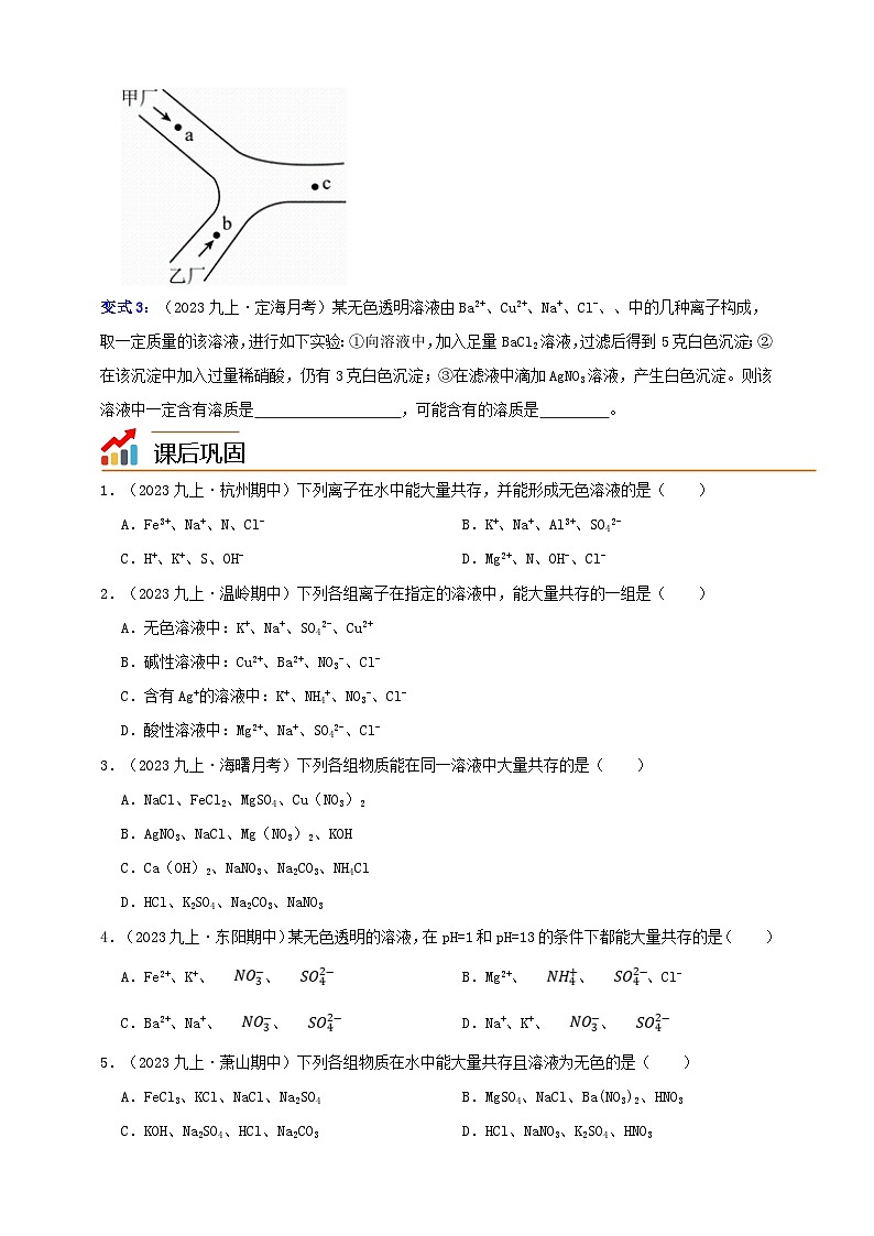 九上第1章 物质及其变化 专题1 离子共存 举一反三练(含解析)02