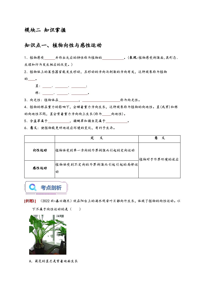 浙教版八年级科学上册讲练测3.1植物生命活动的调节(原卷版+解析)02