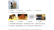 浙教版（2024）八年级上册第4节 动物的行为综合训练题