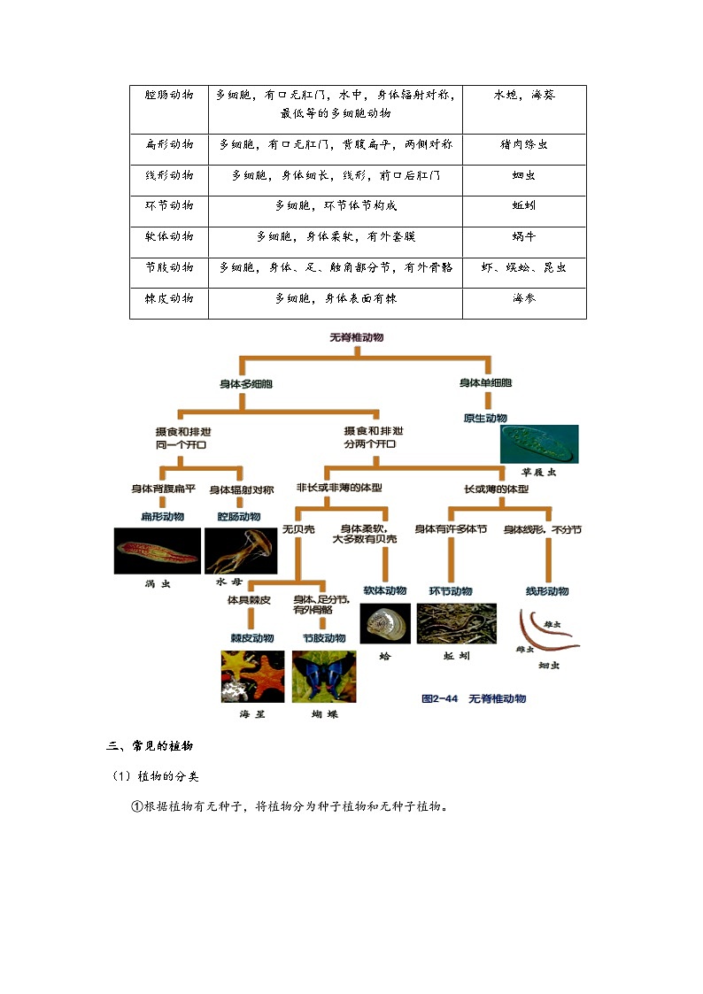 浙教版科学七年级上册“培优提高”秋季班讲义(七):常见的动物与植物【含答案】第3页