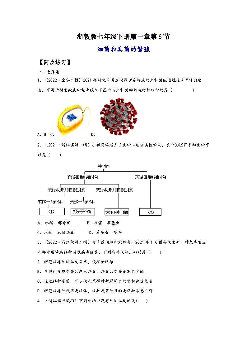 浙教版七年级科学下册同步精品课堂1.6细菌和真菌的繁殖(练习)(原卷版+解析)01