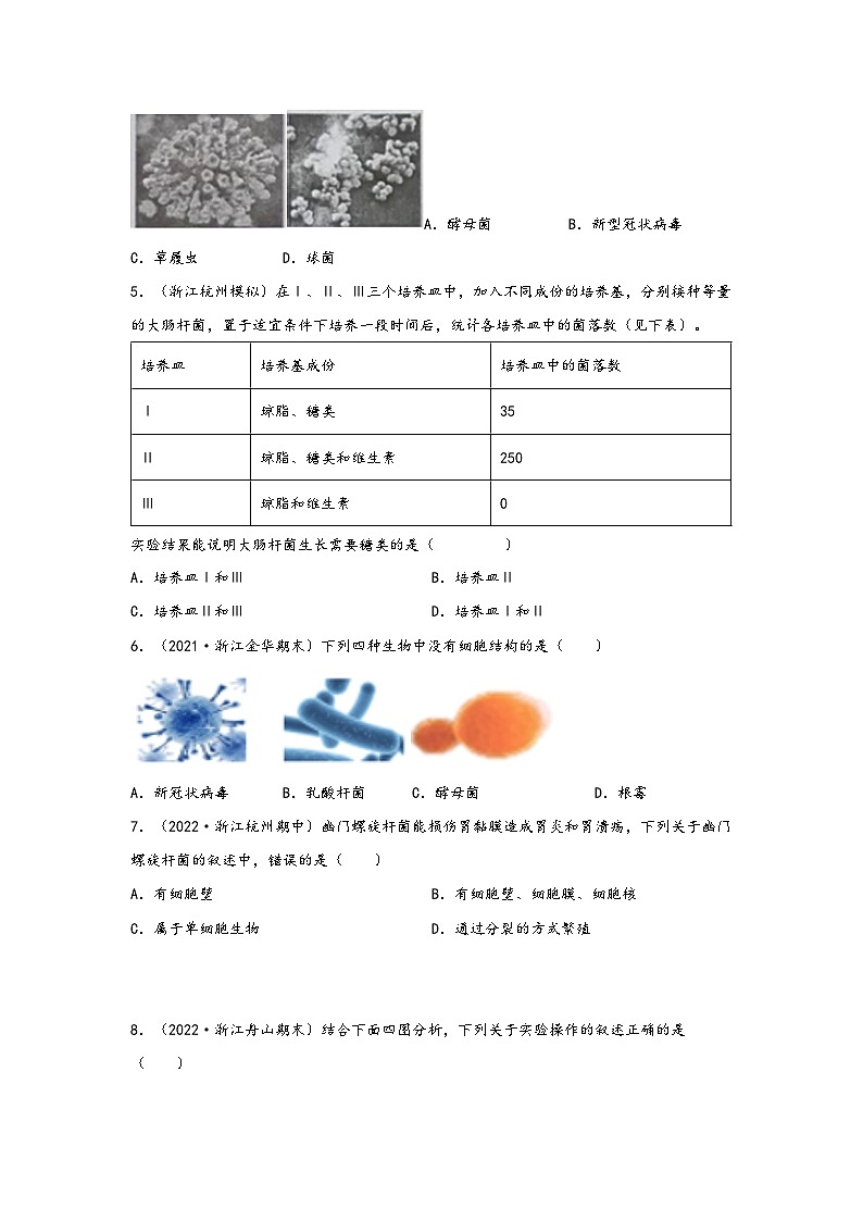 浙教版七年级科学下册同步精品课堂1.6细菌和真菌的繁殖(练习)(原卷版+解析)02