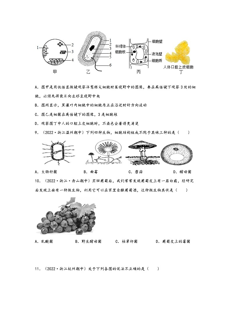 浙教版七年级科学下册同步精品课堂1.6细菌和真菌的繁殖(练习)(原卷版+解析)03