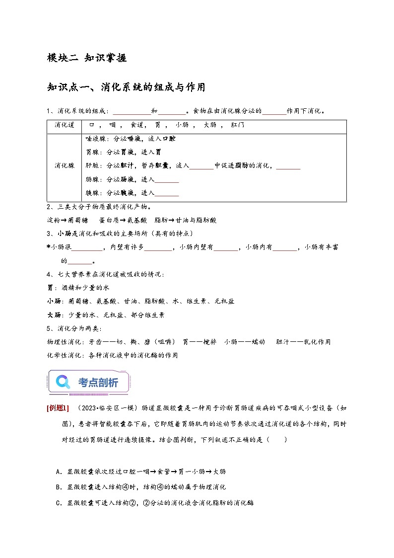 浙教版九年級科學(xué)上冊4.2食物的消化與吸收(原卷版+解析)第2頁