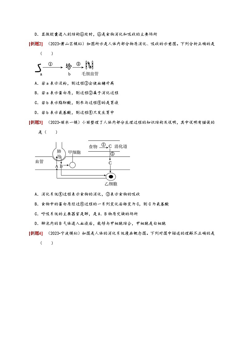 浙教版九年級科學(xué)上冊4.2食物的消化與吸收(原卷版+解析)第3頁