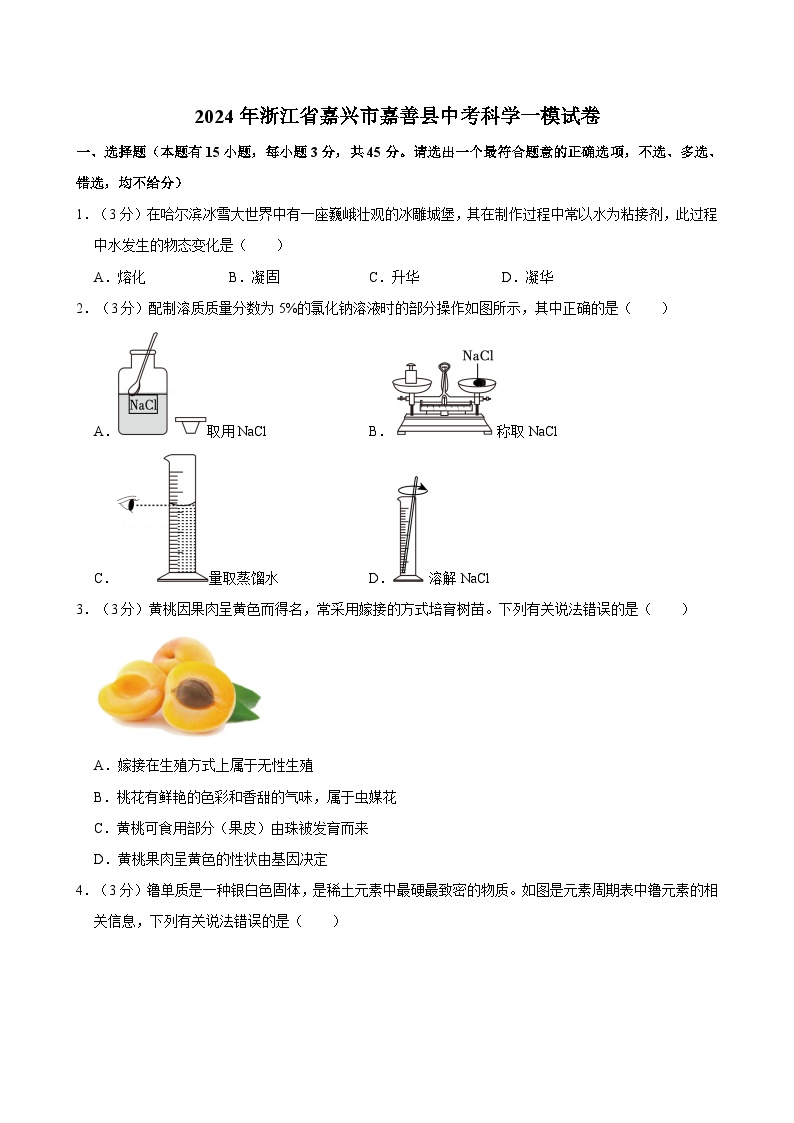 2024年浙江省嘉兴市嘉善县中考一模科学试卷