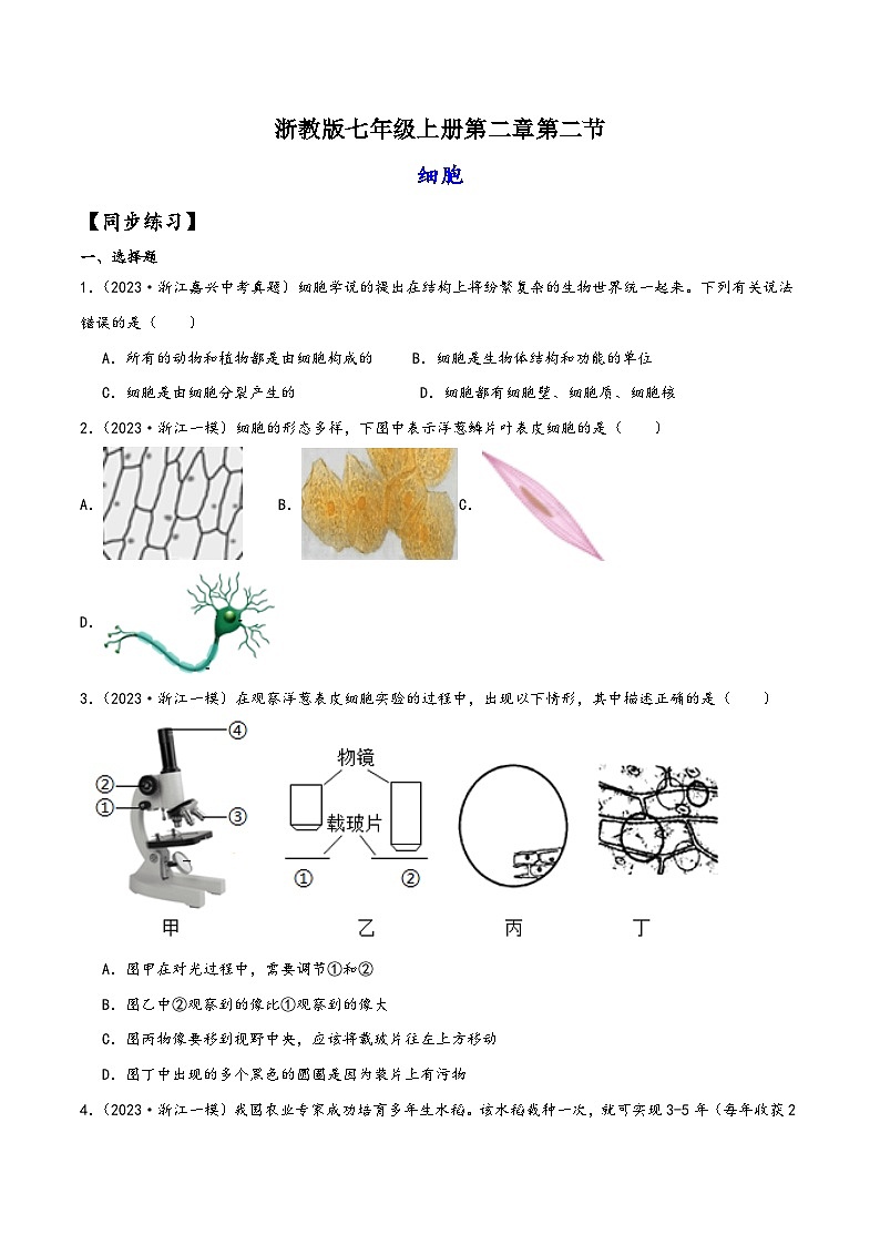 浙教版七年级科学上册讲练课堂2.2细胞(练习)(原卷版+解析)01