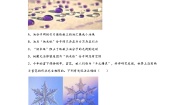 初中科学浙教版（2024）七年级上册第4章 物质的特性第1节 物质的构成巩固练习