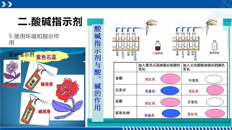 浙教版九年级科学上册同步精品课堂 1.2物质的酸碱性(备课件)(课件)08