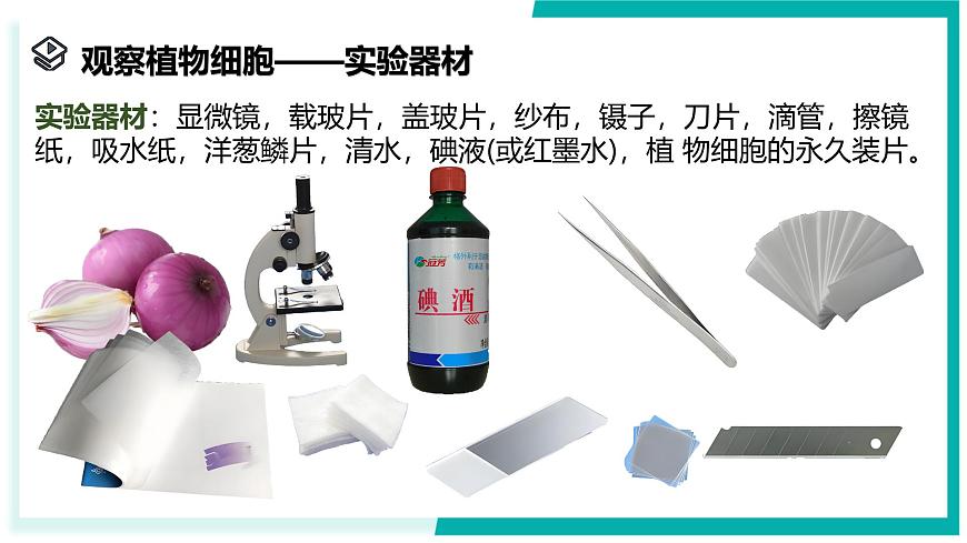2.1 生物體的基本單位（第3課時(shí)）-初中科學(xué)七年級(jí)上冊(cè) 同步教學(xué)課件+素材（浙教版2024）第3頁(yè)