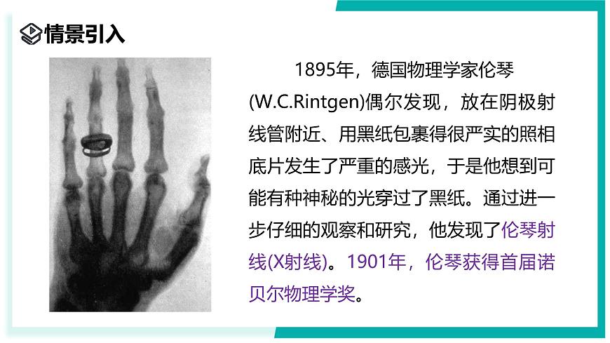 2.1 生物體的基本單位（第2課時）-初中科學七年級上冊 同步教學課件+素材（浙教版2024）第2頁