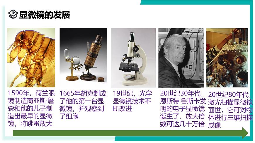 2.1 生物體的基本單位（第2課時）-初中科學七年級上冊 同步教學課件+素材（浙教版2024）第8頁