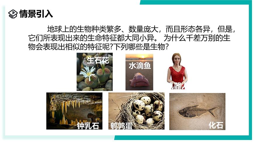 2.1 生物體的基本單位（第1課時）-初中科學(xué)七年級上冊 同步教學(xué)課件+素材（浙教版2024）第2頁