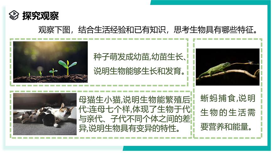 2.1 生物體的基本單位（第1課時）-初中科學(xué)七年級上冊 同步教學(xué)課件+素材（浙教版2024）第3頁