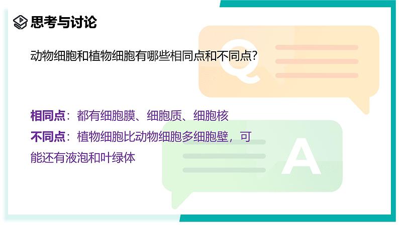 2.1 生物体的基本单位(第4课时)-初中科学七年级上册 同步教学课件(浙教版2024)04