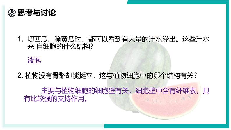 2.1 生物体的基本单位(第4课时)-初中科学七年级上册 同步教学课件(浙教版2024)08